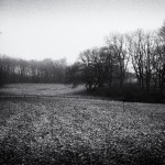 120320-4_bw 120320-4_bw