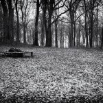 120320-5_bw 120320-5_bw