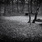 120320-6_bw 120320-6_bw